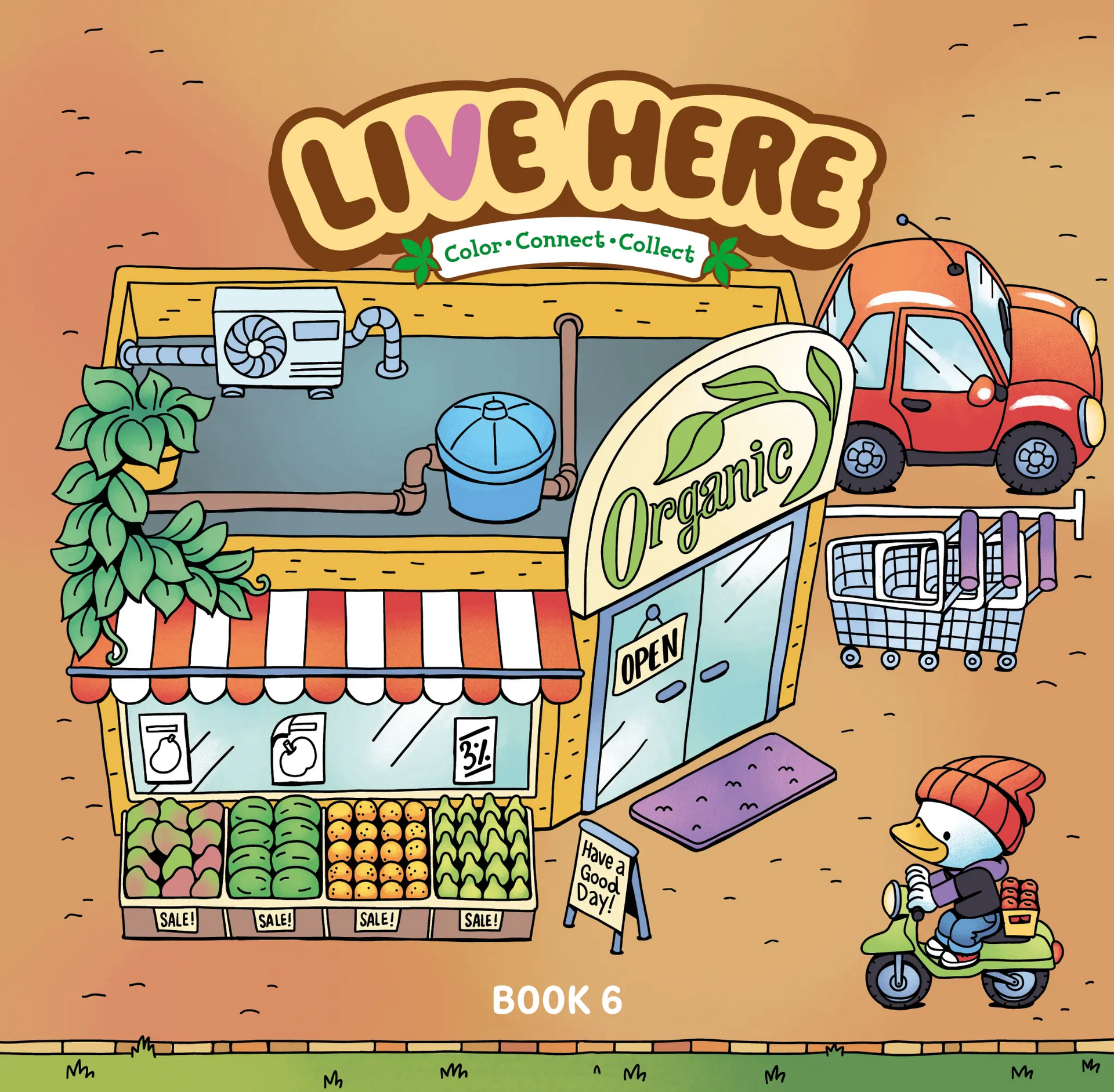 Capa Livro 6